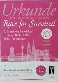 Urkunde Race in Köln 2017