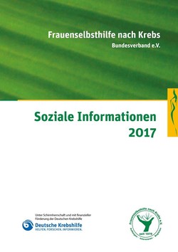 Cover Soziale Informationen 2016