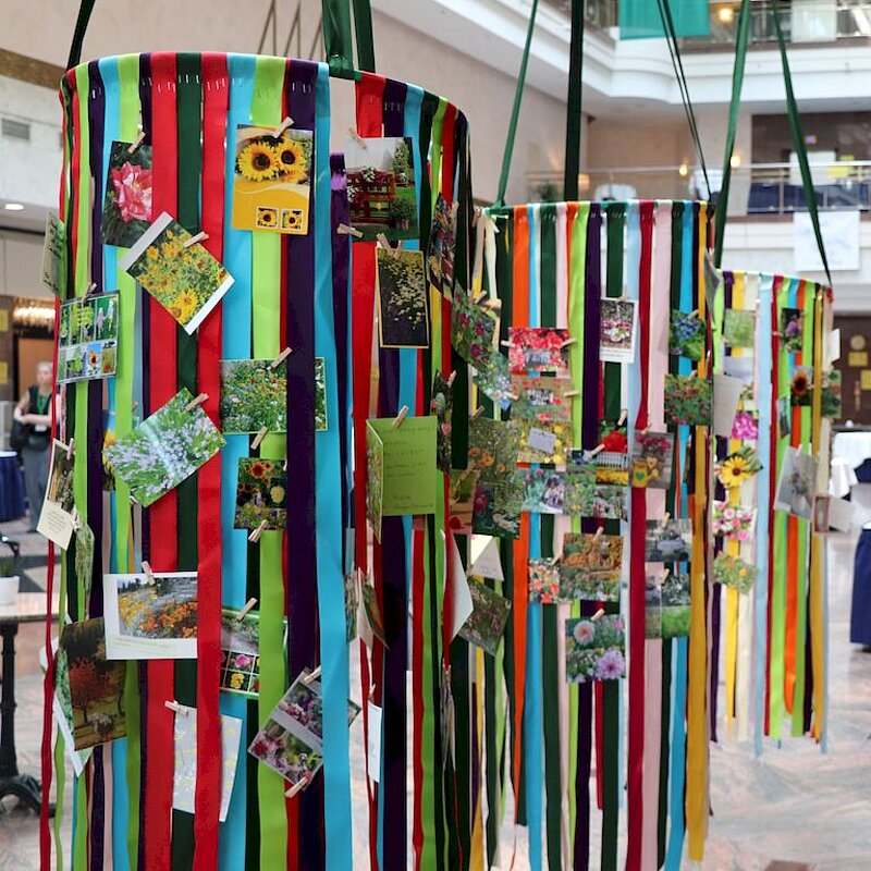 Bild der Frauenselbsthilfe Krebs