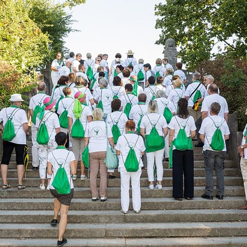 Bild der Frauenselbsthilfe Krebs