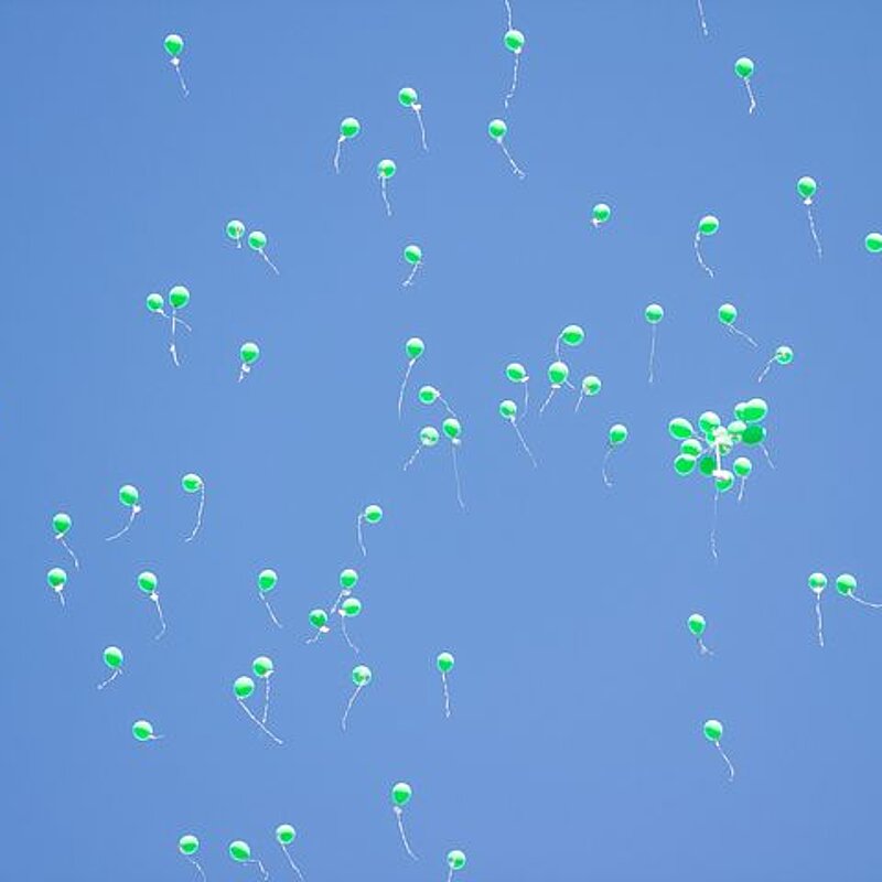 Bild der Frauenselbsthilfe Krebs