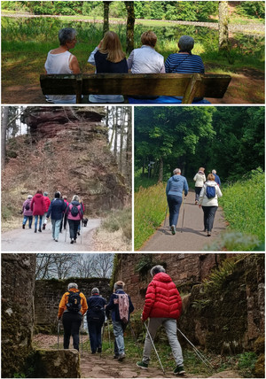 Bild der Frauenselbsthilfe Krebs