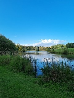 Bild der Frauenselbsthilfe Krebs