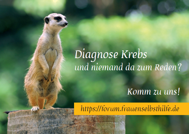 Bild der Frauenselbsthilfe Krebs